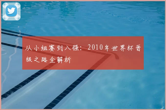 从小组赛到八强：2010年世界杯晋级之路全解析