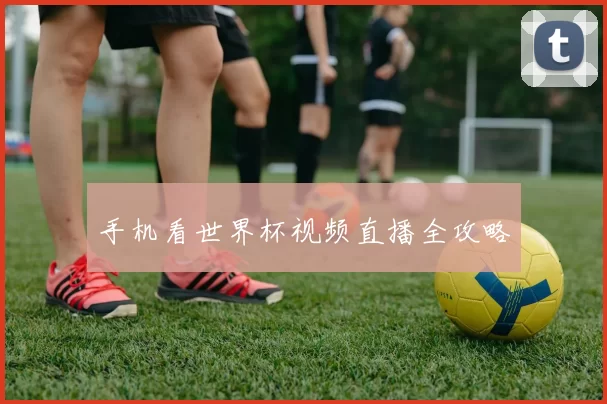 手机看世界杯视频直播全攻略