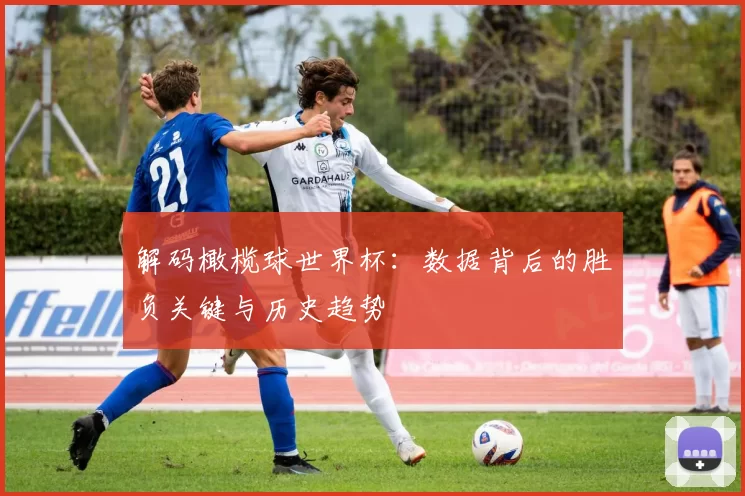 解码橄榄球世界杯:数据背后的胜负关键与历史趋势