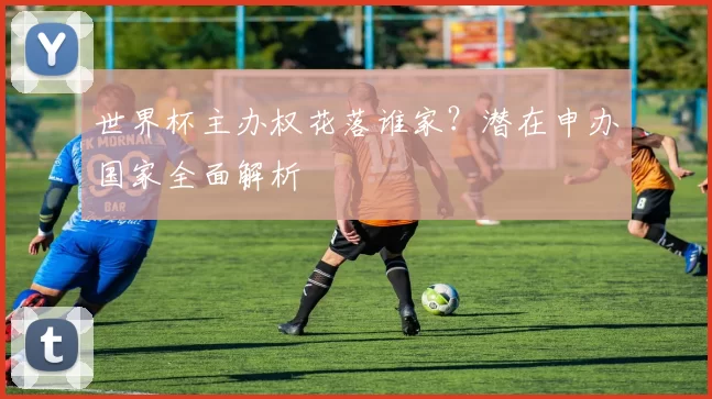 世界杯主办权花落谁家?潜在申办国家全面解析