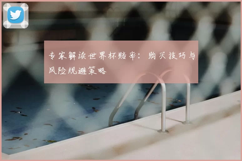 专家解读世界杯赔率：购买技巧与风险规避策略