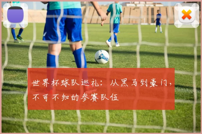 世界杯球队巡礼:从黑马到豪门,不可不知的参赛队伍