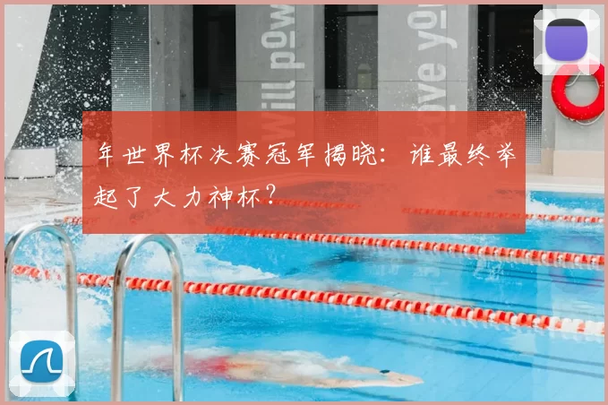 年世界杯决赛冠军揭晓:谁最终举起了大力神杯?