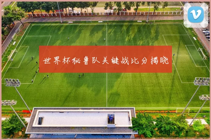 世界杯秘鲁队关键战比分揭晓
