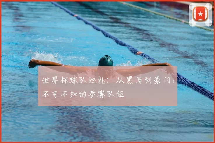 世界杯球队巡礼：从黑马到豪门，不可不知的参赛队伍