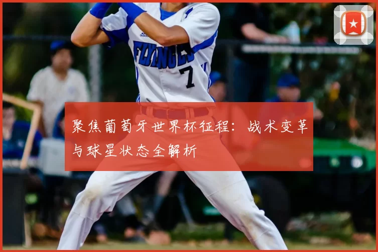 聚焦葡萄牙世界杯征程:战术变革与球星状态全解析