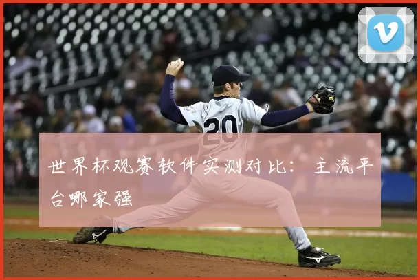 世界杯观赛软件实测对比:主流平台哪家强