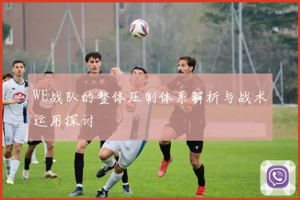 WE战队的整体压制体系解析与战术运用探讨